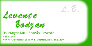 levente bodzan business card